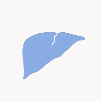 liver